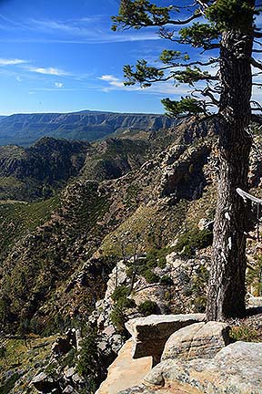 Mogollon Rim, October 23, 2014